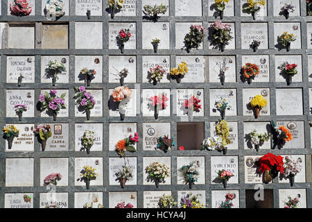 Pierres tombales alignées dans un cimetière avec des tulipes roses devant les pierres tombales. Banque D'Images