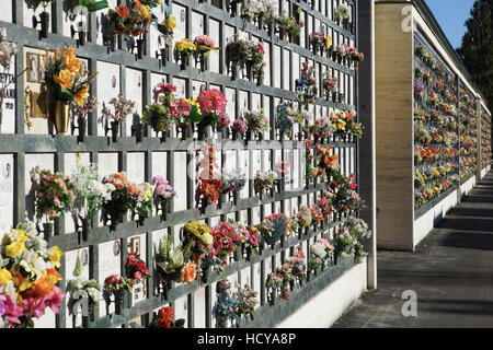 Pierres tombales alignées dans un cimetière avec des tulipes roses devant les pierres tombales. Banque D'Images