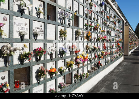 Pierres tombales alignées dans un cimetière avec des tulipes roses devant les pierres tombales. Banque D'Images