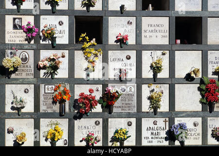 Pierres tombales alignées dans un cimetière avec des tulipes roses devant les pierres tombales. Banque D'Images