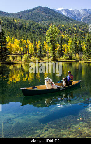 60-ish man paddling un canot avec son soutien émotionnel des chiens, y compris un bernois et une grande chaîne des Pyrénées. Banque D'Images