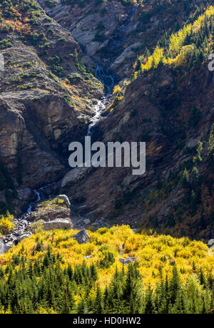 In la couleur de l'automne, Cascade Canyon, Parc National de Grand Teton, Wyoming, USA Banque D'Images