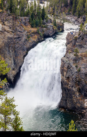 Yellowstone River Upper Falls (109'), le Parc National de Yellowstone, Wyoming, USA Banque D'Images