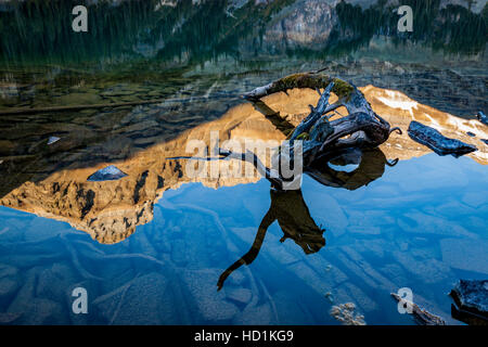 Sommets Wiwaxy reflété dans le lac O'Hara au coucher du soleil, le parc national Yoho, en Colombie-Britannique, Canada. Banque D'Images