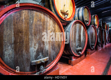 Vieux fûts de chêne au vignoble cave. Banque D'Images