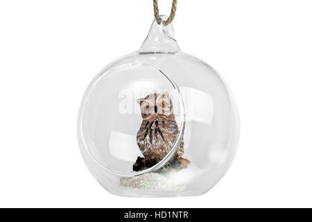 Boule de Noël isolé sur fond blanc Banque D'Images