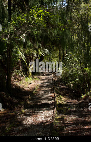 Certains des rails restent encore le long de l'ancienne voie de chemin de fer de la mine de charbon du ruisseau charmant à la côte de la Nouvelle-Zélande. Banque D'Images