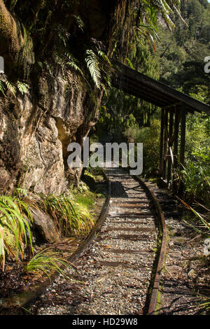 Certains des rails restent encore le long de l'ancienne voie de chemin de fer de la mine de charbon du ruisseau charmant à la côte de la Nouvelle-Zélande. Banque D'Images