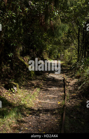 Certains des rails restent encore le long de l'ancienne voie de chemin de fer de la mine de charbon du ruisseau charmant à la côte de la Nouvelle-Zélande. Banque D'Images