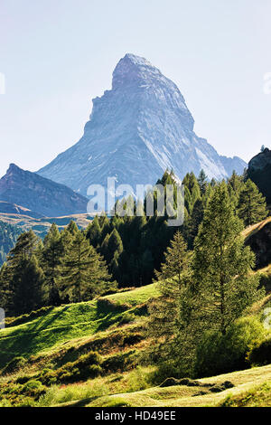 Mont Cervin et vert de la forêt sur la colline à Zermatt suisse en été. Banque D'Images