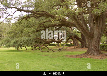 Antebellum plantation de sucre sur les rives de la rivière Mississippi Banque D'Images