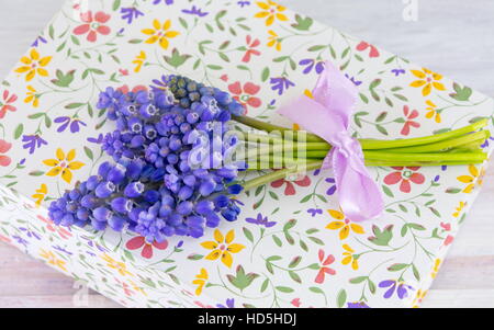 Bluebell fleurs de printemps sur le dessus de fleurs cas Banque D'Images