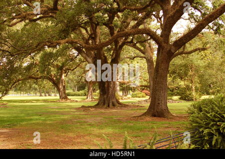 Antebellum plantation de sucre sur le fleuve du Mississippi en Louisiane USA Banque D'Images