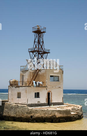 Le phare de Daedalus Daedalus Reef, Red Sea, Egypt, Africa Banque D'Images