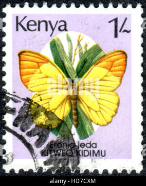 KENYA - circa 1988 : timbre imprimé au Kenya, montre le papillon (Afrodryas Eronia leda leda), vers 1988 Banque D'Images