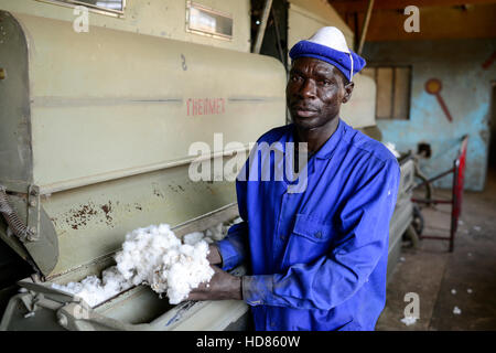 BURKINA FASO , Bobo Dioulasso, la Société burkinabè des Fibres Textiles SOFITEX Société d'égrenage du coton, de l'unité de traitement de Bobo je classiques et manipulé des gènes BT de Monsanto, égrenage du coton linge / Baumwollentkernung SOFITEX, Fabrik für Werk Bobo, J'genmanipulierter konventioneller von und Baumwolle Monsanto, Entkernungsmaschinen Banque D'Images