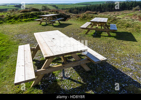 Vue ensoleillée de tables de pique-nique sur l'herbe. Banque D'Images