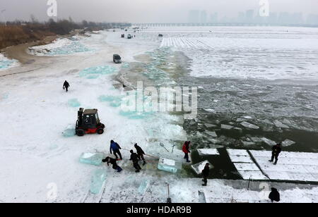 Harbin, Chine, province de Heilongjiang. 9Th Mar, 2016. Recueillir des travailleurs de la glace sur le fleuve Songhuajiang congelé à Harbin, capitale de la province du nord-est de la Chine, le 9 décembre 2016. © Wang Jianwei/Xinhua/Alamy Live News Banque D'Images