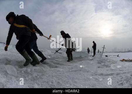 Harbin, Chine, province de Heilongjiang. 9Th Mar, 2016. Recueillir des travailleurs de la glace sur le fleuve Songhuajiang congelé à Harbin, capitale de la province du nord-est de la Chine, le 9 décembre 2016. © Wang Jianwei/Xinhua/Alamy Live News Banque D'Images