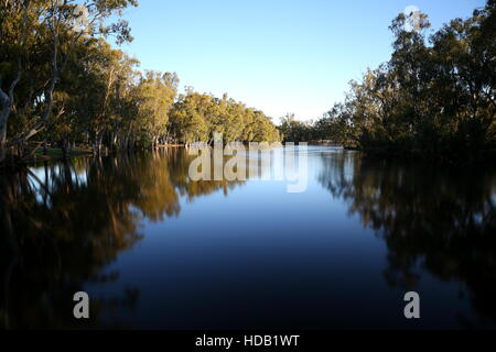 Murray River, avec redgums l'Australie Banque D'Images