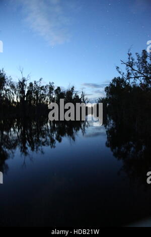 Murray River, avec redgums l'Australie Banque D'Images