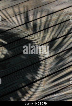 L'ombre des feuilles de palmier créer un motif sur la promenade d'un resort sur l'île des Caraïbes des îles Turks et Caicos | paradis tropical / Grace Bay Banque D'Images