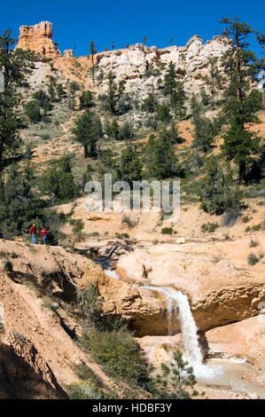 U.S.A. UTAH PARC NATIONAL BRYCE TROPIC FOSSÉ SUR GROTTE MOUSSUE À PIED Banque D'Images