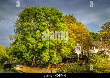 Canalboats sur la rivière Lea (ou Lee) dans le Hertfordshire, Angleterre, Royaume-Uni Banque D'Images