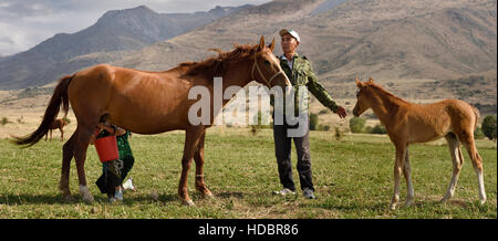 Man holding kazakh poulain loin de mare en soins infirmiers être traite par aksu zhabagly épouse en Kazakhstan Banque D'Images