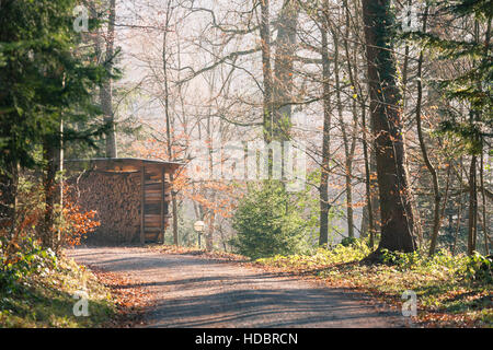 Bois chalet dans une ruelle tranquille dans les bois Banque D'Images