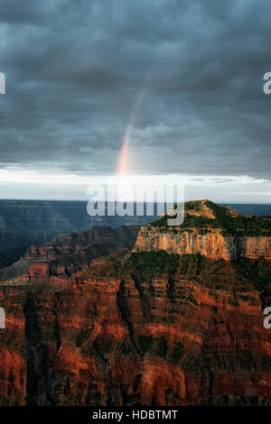 La première lumière de la mousson d'été et gratuites créer cet arc-en-ciel sur la rive nord de l'Arizona's Grand Canyon National Park. Banque D'Images