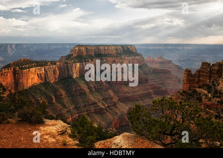 Arbres de la lumière du soir pierce le bâtiment les orages plus Wotons trône sur le bord nord de l'Arizona's Grand Canyon National Park. Banque D'Images