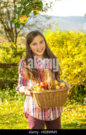 Les jeunes pre teen girl picking apples dans le jardin Banque D'Images