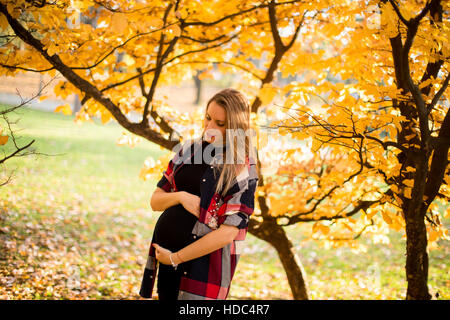 Young pregnant woman posing in autumn park Banque D'Images