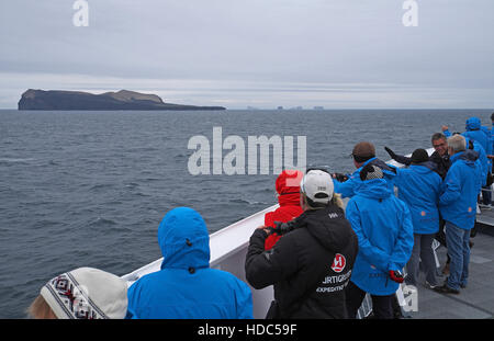 L'île de surtsey relativement nouvelle, formée par une éruption d'une durée de 1963 à 1967, l'archipel vestmannaeyjar, le sud de l'Islande. Banque D'Images