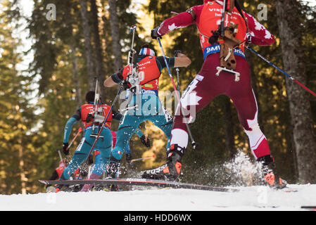 Pokljuka, la Slovénie. 11Th Feb 2016. Les concurrents sur le parcours pendant les hommes 12, 5 km poursuite Biathlon à la Coupe du Monde de Pokljuka. Credit : Rok Rakun/Pacific Press/Alamy Live News Banque D'Images