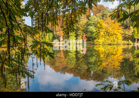 Couleurs d'automne en Belgique Banque D'Images