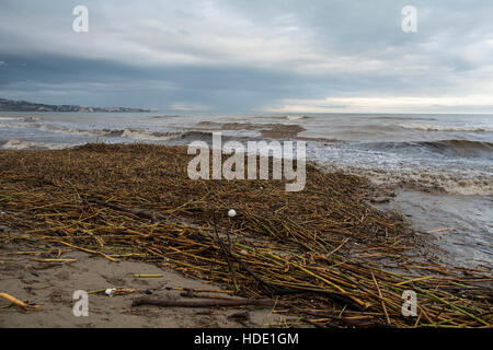 Plage de los Boliches, Fuengirola, Malaga, Espagne. 4e décembre 2016. La pluie le plus lourd au cours des 25 dernières années Banque D'Images