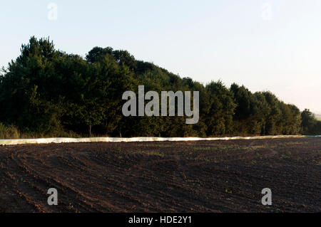 Une clôture autour du site de projet de canalisations souterraines pour protéger Tyran Les tritons, Bawdsey, Suffolk, UK. Banque D'Images