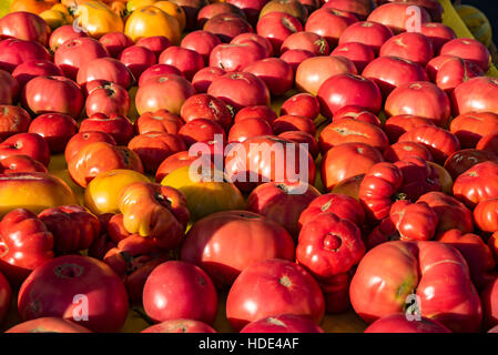 Boise Farmers Market, les tomates, le centre-ville de Boise, Idaho Banque D'Images