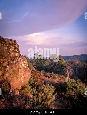 Vue du paysage de l'heure d'or de Stony Jump sur Frensham Common dans les collines de Surrey, Angleterre, Royaume-Uni Banque D'Images