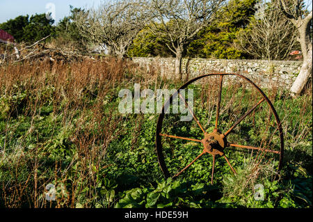 Un morceau de Rusty, anciens et anciennes de l'équipement agricole dans un champ envahi en Irlande. Banque D'Images