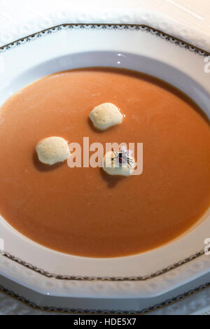 Terres une mouche dans un bol de soupe aux tomates Banque D'Images