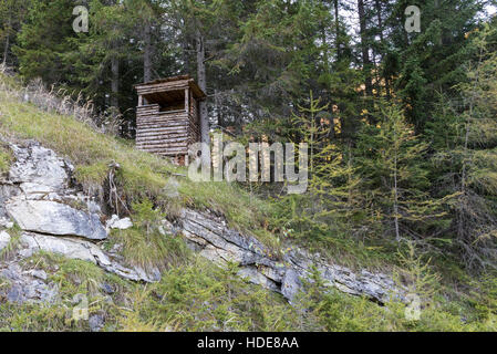 Soulevées cacher dans une forêt Banque D'Images