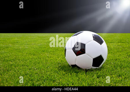 Ballon de soccer dans le stade Banque D'Images