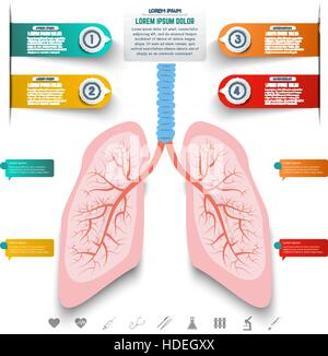 Résumé Les poumons de points et de lignes. Ensemble d'éléments colorés infographie et la médecine d'icônes. Des éléments de design pour sites web, motion graphic, bannière Illustration de Vecteur