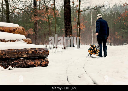 Homme porte en bois sur un traîneau en hiver forêt enneigée. Banque D'Images