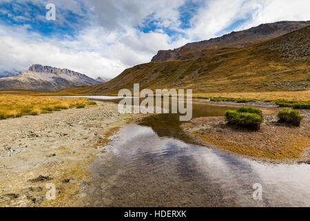 Terres humides près du Plan du Lac. Parc national de la Vanoise. Paysage de montagne. France. Europe. Banque D'Images