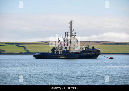 Remorqueur svitzer lindsway sur une bouée dans l'eau bleue ondulée en face de champs verts sur Milford Haven voie navigable dans le Pembrokeshire, Pays de Galles. Banque D'Images