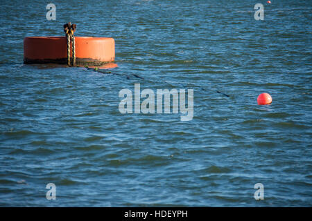 Petite bouée sur phrase liée à une corde d'amarrage sur bouée d'un remorqueur en bleu de l'eau ridée à Milford Haven Banque D'Images